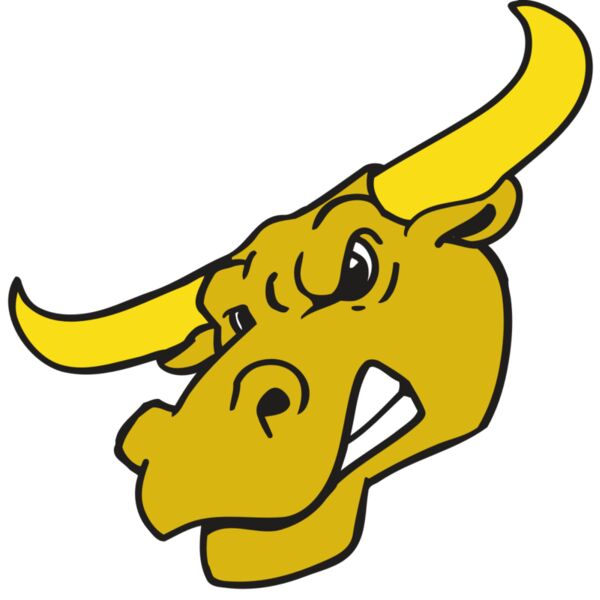 AR BULL 29 RC Thumbnail