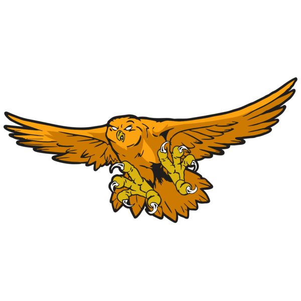 AR31 OWL 01 RQC Thumbnail