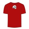 Adult Stars & Stripes T-Shirt Thumbnail