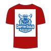 Adult Stars & Stripes T-Shirt Thumbnail